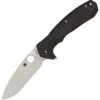 Spyderco SPY-C234CFP Amalgam