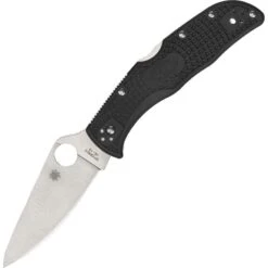 Spyderco Knives 243PBK Endela Lockback Knife