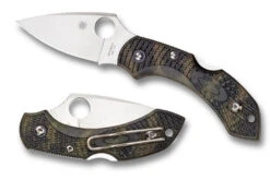 Spyderco Dragonfly 2 - Zome Green