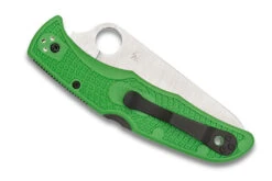 Spyderco Pacific Salt 2 - Green FRN - LC200N Blade -Spyderco C91FPGR Closed 39831.1599690350