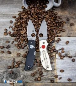 Spyderco Chaparral Lockback Knife Sun & Moon G-10 (2.8" Satin) C152GSMP -Spyderco Spyderco Chaparral Lockback Knife Sun Moon G 10 Satin C152GSMP BHQ 106186 kp beans web