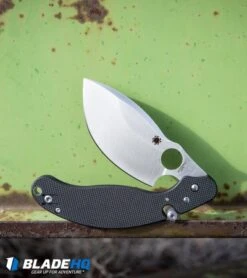 Spyderco Parata Stop Lock Knife Black G-10 (3.5" Satin) C231GP -Spyderco Spyderco Parata Stop Lock Knife Black G 10 Satin C231GP BHQ 78708 kp green web