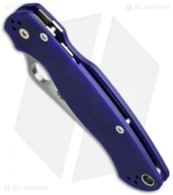 Spyderco Paramilitary 2 Knife Blue/Purple G-10 (3.4" Satin CPM-S110V) C81GPDBL2 -Spyderco spyderco c81gpdbl2 bottom cm