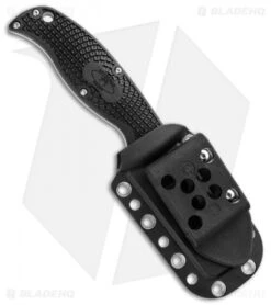 Spyderco Enuff Clip Point Fixed Blade Knife (2.75" Satin Plain) FB31CPBK -Spyderco spyderco fb31cpbk enuff plain sheath