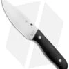 Spyderco Serrata Stuart Ackerman Fixed Blade Knife (4.625" Satin) FB32GP